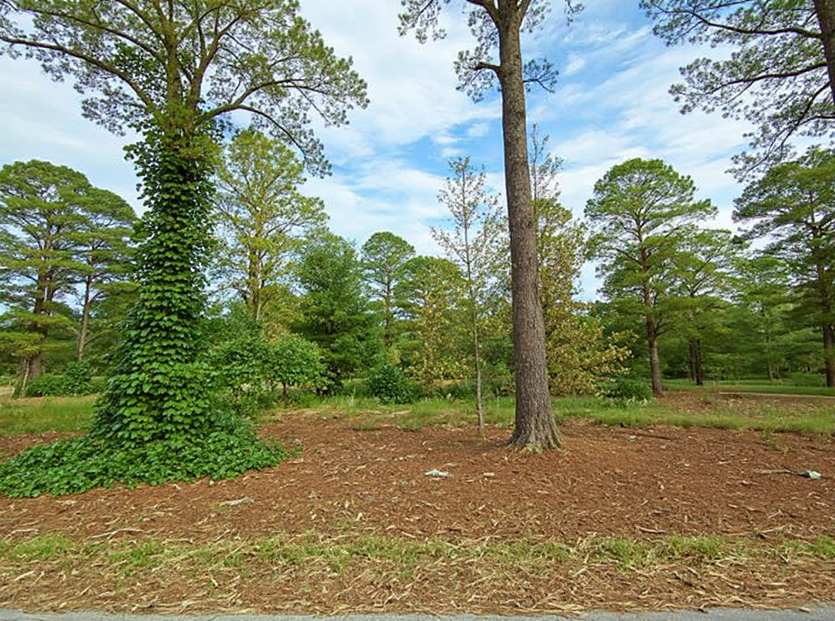 Trail restoration from kudzu in Huntersville NC